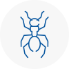 Ant Removals In Whitby