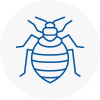 Bed Bug Extermination In Whitby