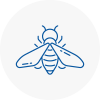 Bee Nest Removal Whitby