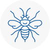 Whitby Hornet Nest Removals
