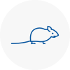 Mice Exterminators In Whitby