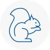 Whitby Rodent Removals