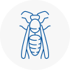 Whitby Wasp Nest Removal